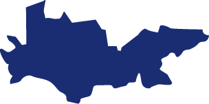 Polygon