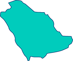 Polygon